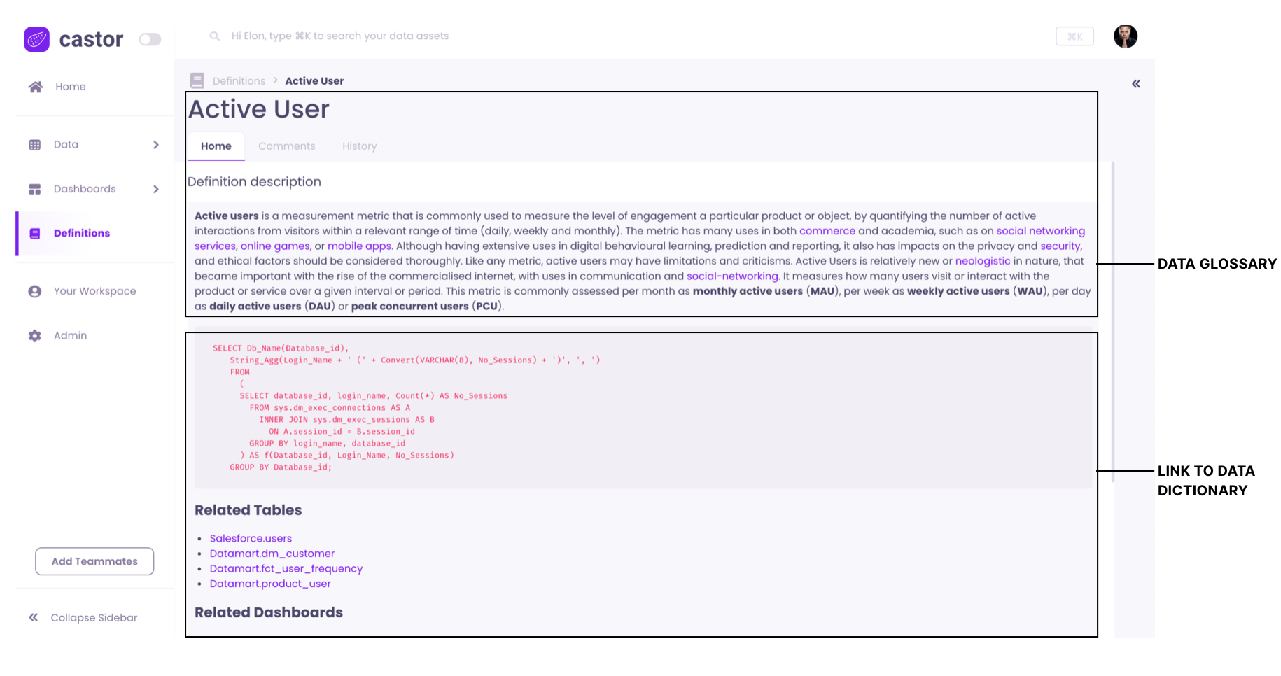 What is a Data Glossary? Castor Blog